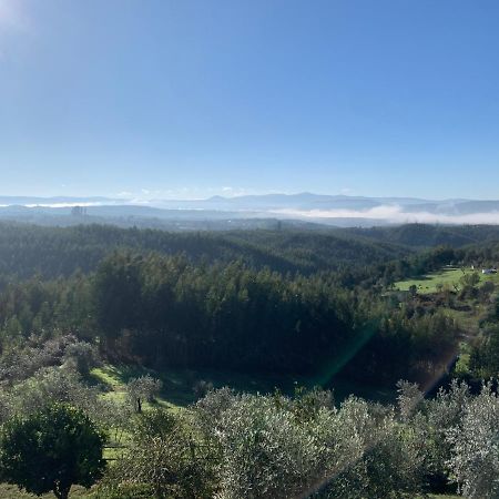 Quinta Lagares Ξενοδοχείο Penacova Εξωτερικό φωτογραφία