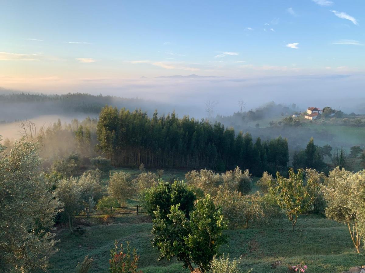 Quinta Lagares Ξενοδοχείο Penacova Εξωτερικό φωτογραφία